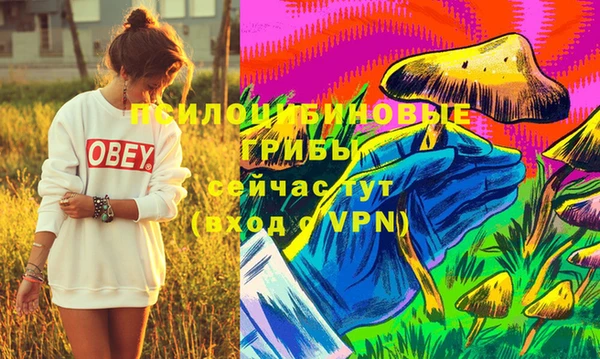 MDMA Нефтегорск