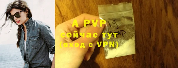 хмурый Надым