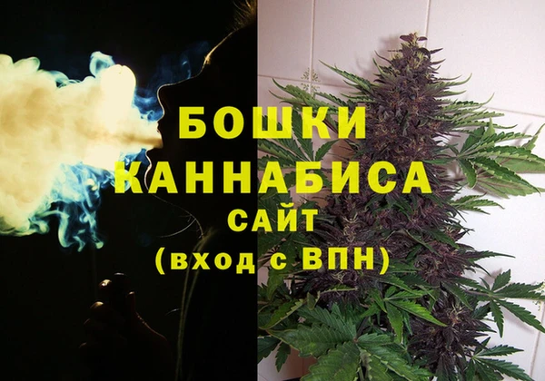 стаф Нефтекумск