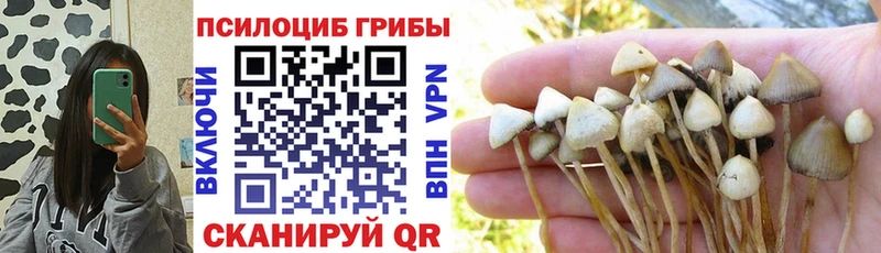 Галлюциногенные грибы Magic Shrooms наркошоп Карпинск