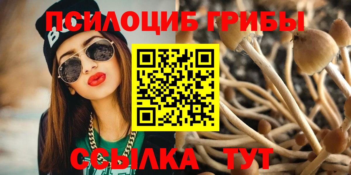 Псилоцибиновые грибы мухоморы  Вход с VPN  Карпинск 